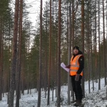 Suomen Metsätilakauppa LKV - metsätilojen myynti Lapissa | Rovaniemi